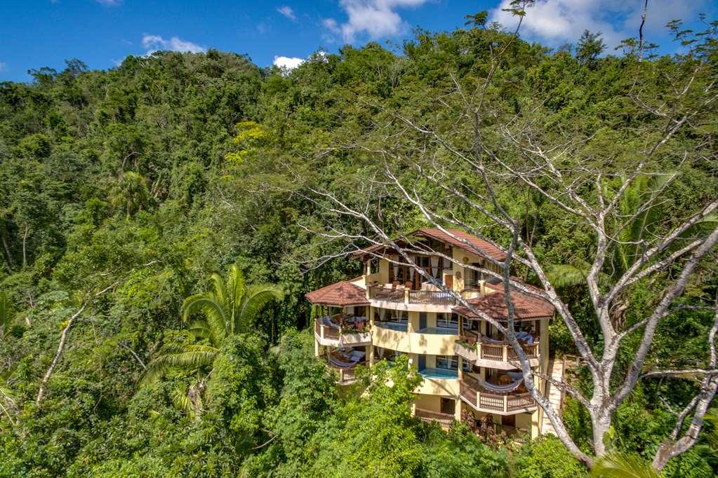 Sleeping Giant Rainforest Lodge Belmopan Bagian luar foto