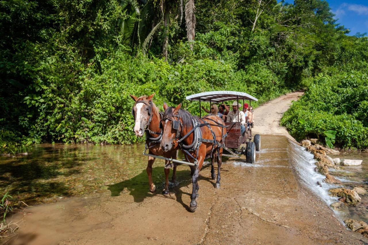 Sleeping Giant Rainforest Lodge Belmopan Bagian luar foto