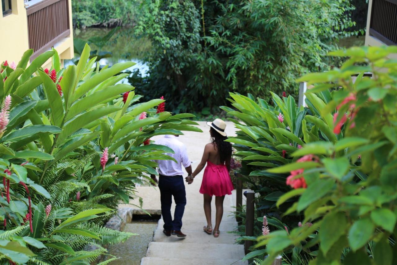 Sleeping Giant Rainforest Lodge Belmopan Bagian luar foto