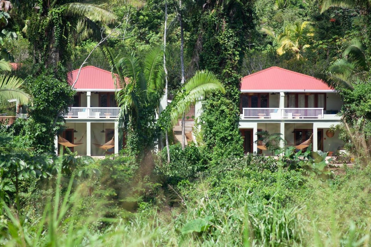 Sleeping Giant Rainforest Lodge Belmopan Bagian luar foto