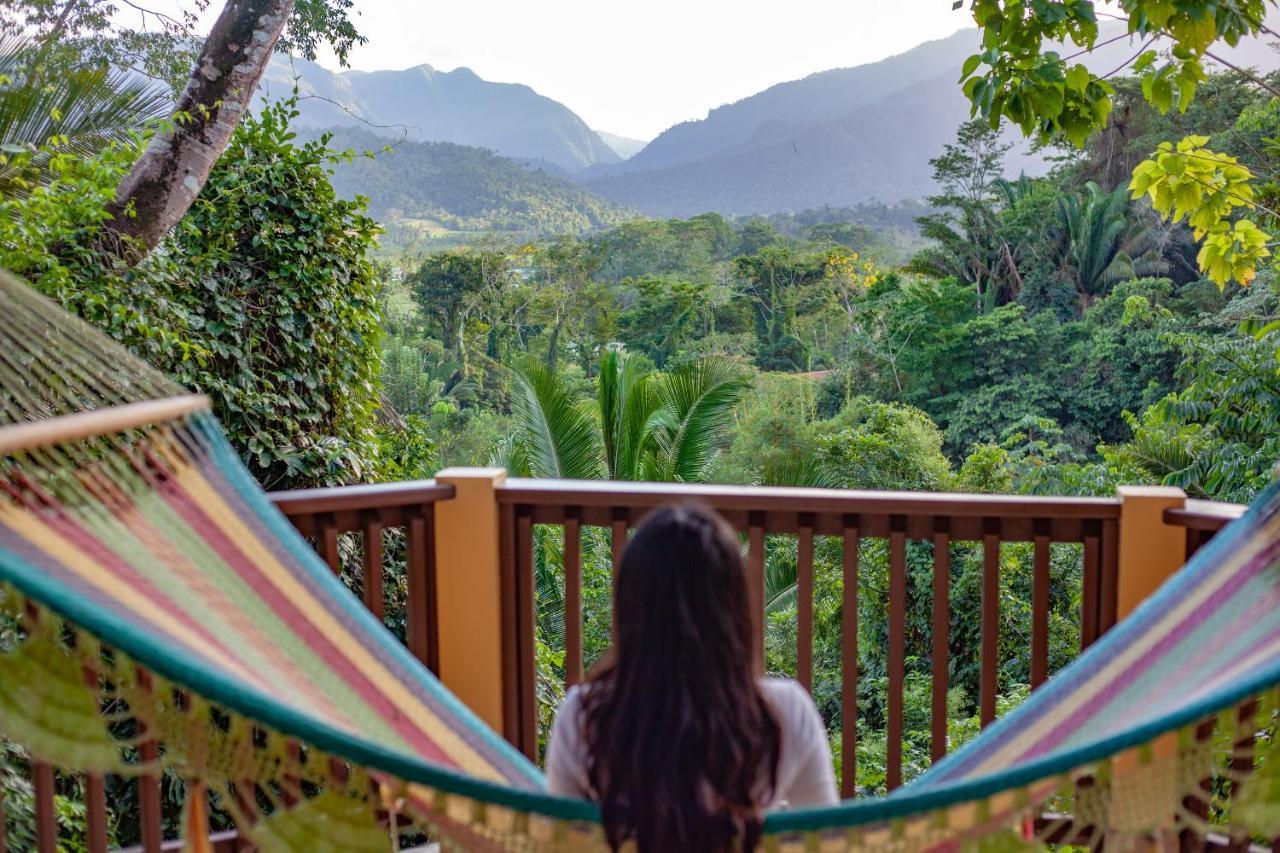 Sleeping Giant Rainforest Lodge Belmopan Bagian luar foto